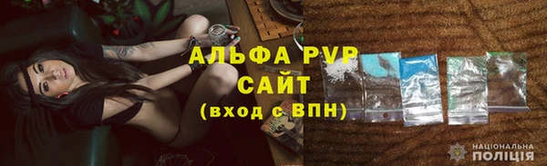 шишки Белоозёрский