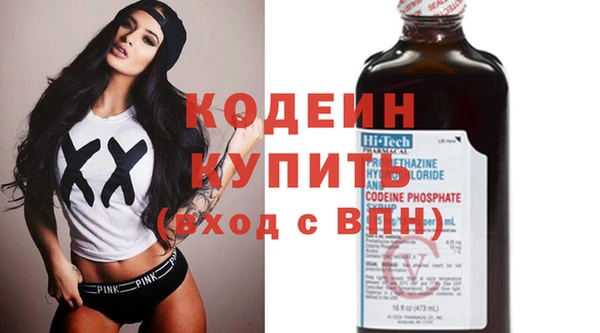 шишки Белоозёрский