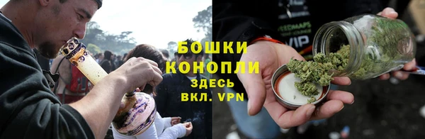прущие грибы Пролетарск