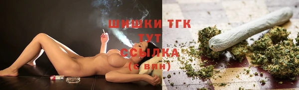 шишки Белоозёрский