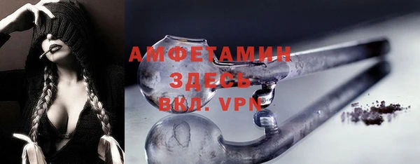 шишки Белоозёрский