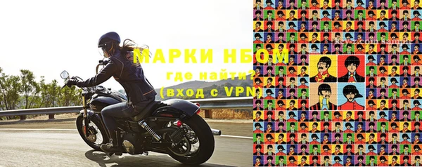 шишки Белоозёрский