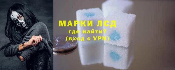 шишки Белоозёрский
