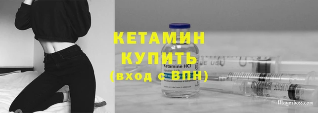 шишки Белоозёрский