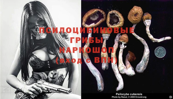дурь Беломорск