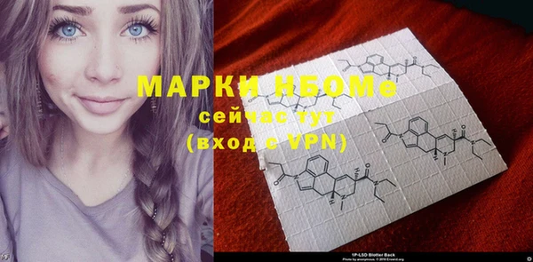 шишки Белоозёрский