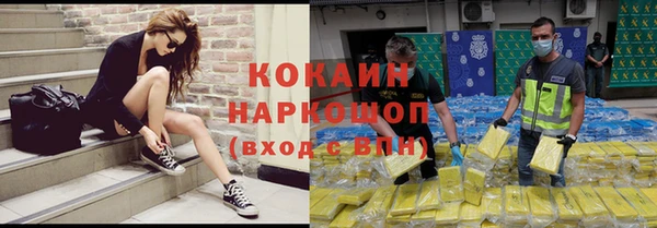 шишки Белоозёрский