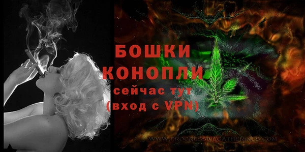 шишки Белоозёрский