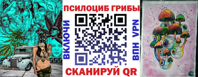 Галлюциногенные грибы мицелий  где купить наркотик  Онега 